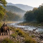 Introduction to National Parks in India – best national park in india