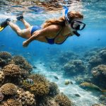 Introduction to Snorkeling – best places to snorkel