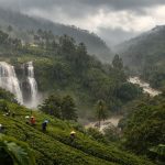 Understanding Sri Lanka's Climate – best time to visit sri lanka